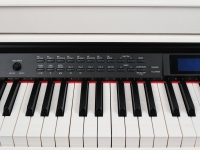 ЦИФРОВОЕ ПИАНИНО MEDELI DP370-PVC-WH белое с автоаккомпанементом